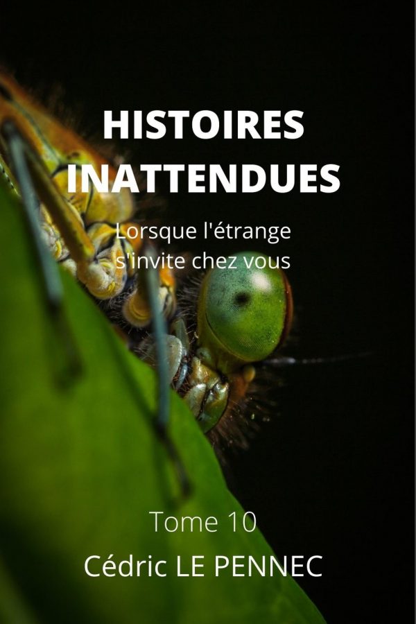 HISTOIRES INATTENDUES Tome 10